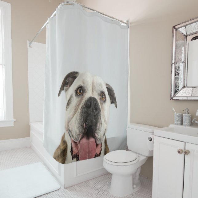 English Bulldog Cute Bulldog Pooch Shower Curtain (In Situ)