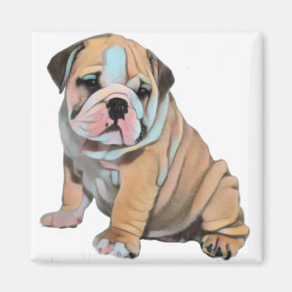 English Bulldog Dog Magnet