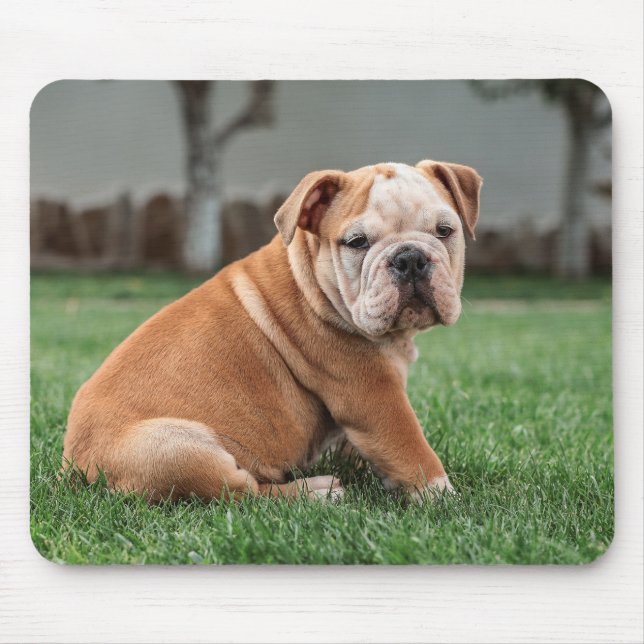 english bulldog, dog, sweet mouse mat (Front)