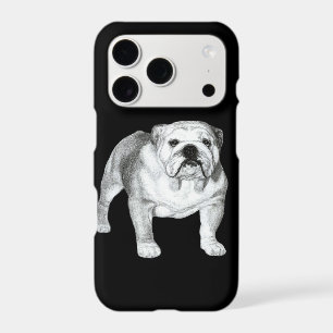 English Bulldog drawing