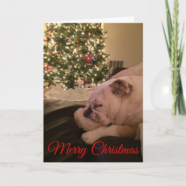 English Bulldog Dreaming Christmas Card (Front)