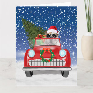 English Bulldog Driving Car In Snow Christmas  Card