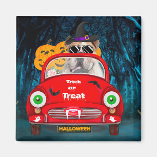 English Bulldog Driving Car Scary Halloween Magnet