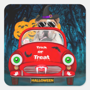 English Bulldog Driving Car Scary Halloween  Square Sticker