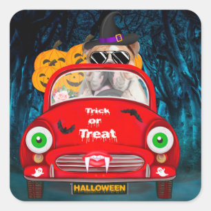 English Bulldog Driving Car Scary Halloween  Square Sticker