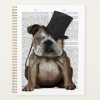 English Bulldog, Formal Hound and Hat