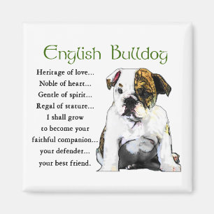 English Bulldog Gifts Magnet