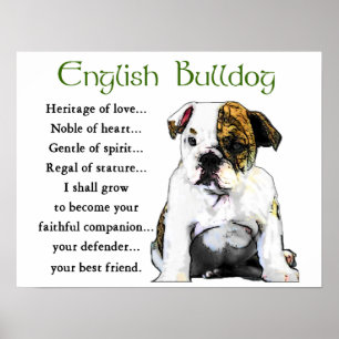 English Bulldog Gifts Poster