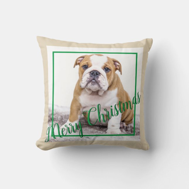 English Bulldog Green Christmas Holiday Photo Cushion (Front)
