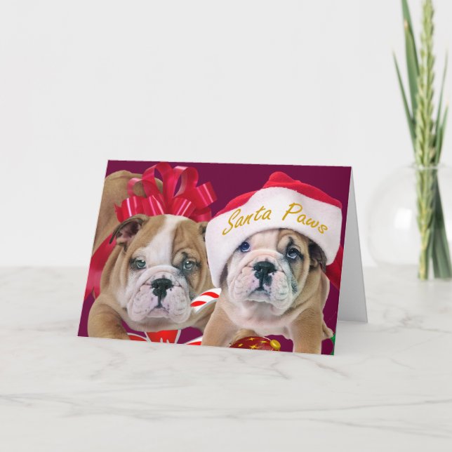 English Bulldog In Christmas Attire Cards (Front)