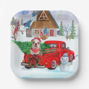English Bulldog In Christmas Delivery Truck Snow Paper Plate