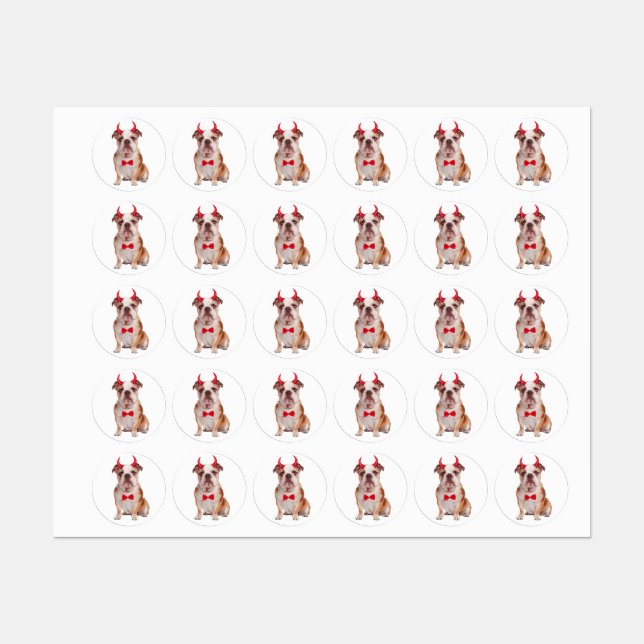 English Bulldog In Halloween (Sheet)