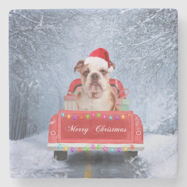 English Bulldog in Snow sitting in Christmas Truck Stone Coaster (Front)