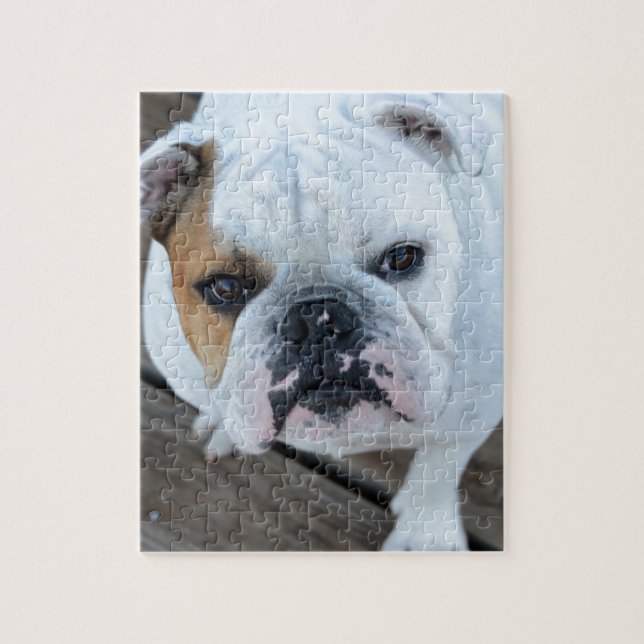 English Bulldog Jigsaw Puzzle (Vertical)