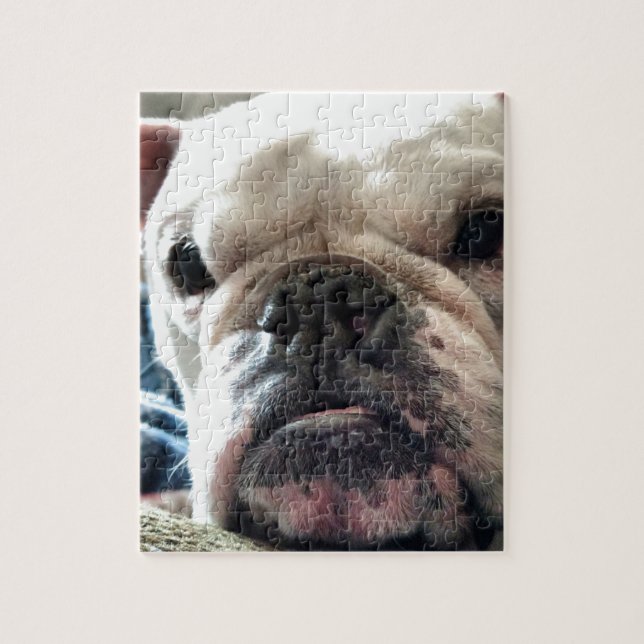 English Bulldog Jigsaw Puzzle (Vertical)