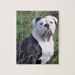 English Bulldog Jigsaw Puzzle