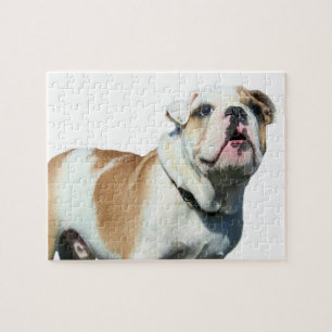 English bulldog jigsaw puzzle