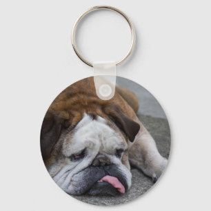 English bulldog key ring