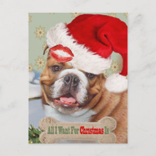 English Bulldog Kisses For Christmas Holiday Postcard