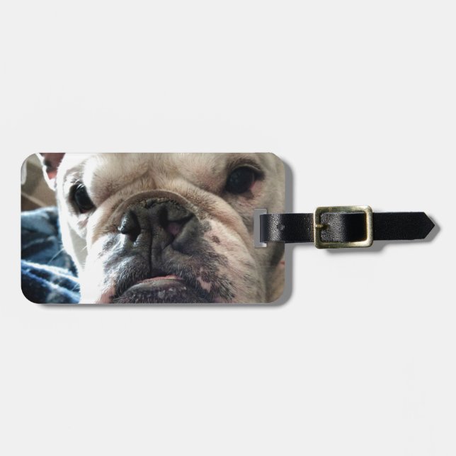 English Bulldog Luggage Tag (Front Horizontal)