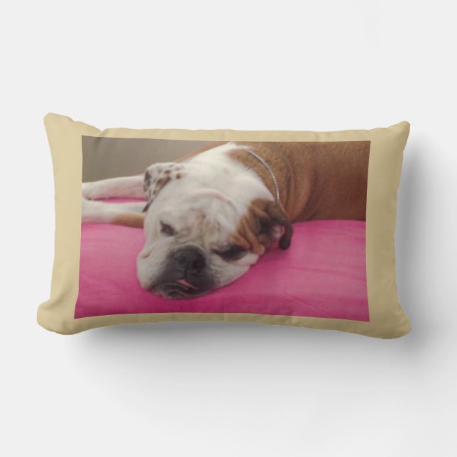 English Bulldog Lumbar Cushion (Front)