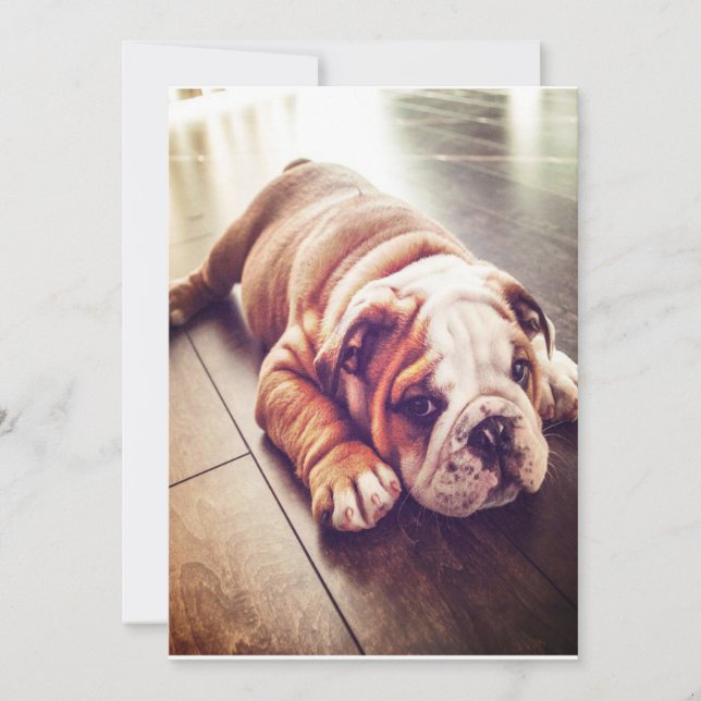 English Bulldog Lying Dog | Dog Photo Holiday Card (Front)