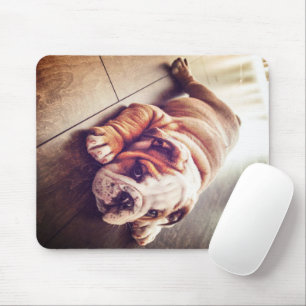 English Bulldog Lying Dog Dog Photo Mouse Mat