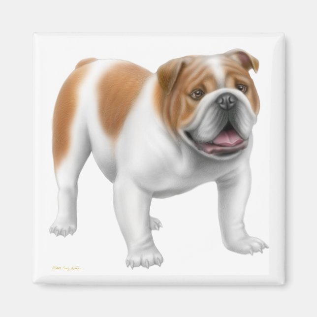 English Bulldog Magnet (Front)
