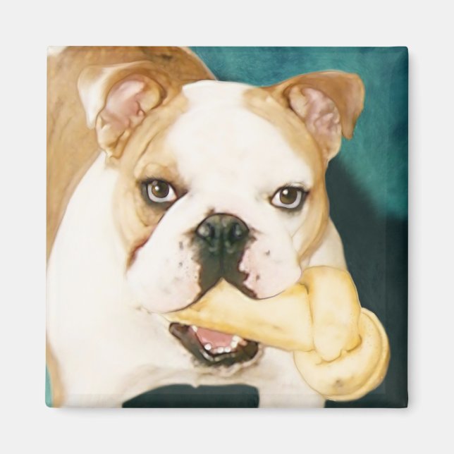 English Bulldog Magnet (Front)