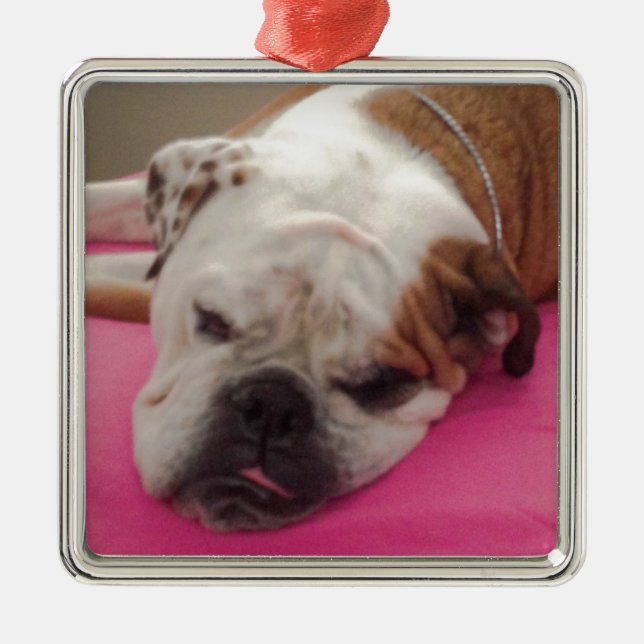 English Bulldog Metal Tree Decoration (Front)