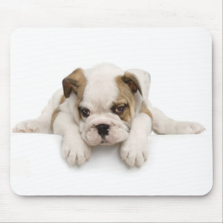 English Bulldog Mouse Mat