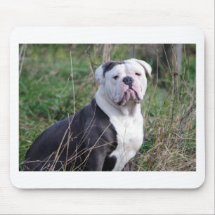 English Bulldog Mouse Mat