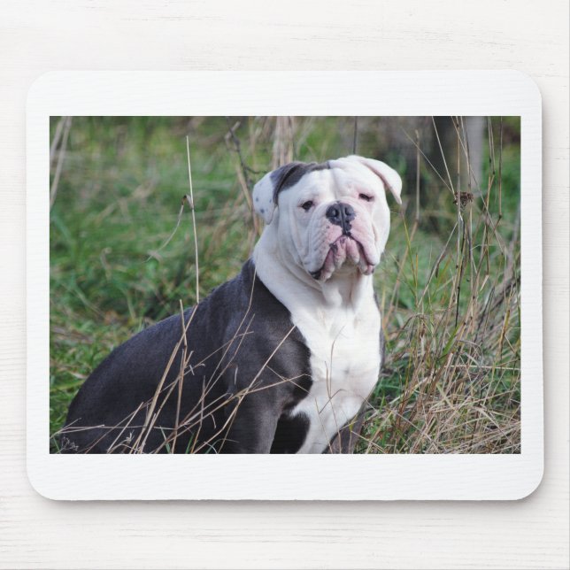 English Bulldog Mouse Mat (Front)