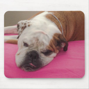 English Bulldog Mouse Mat