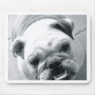 English Bulldog Mouse Mat