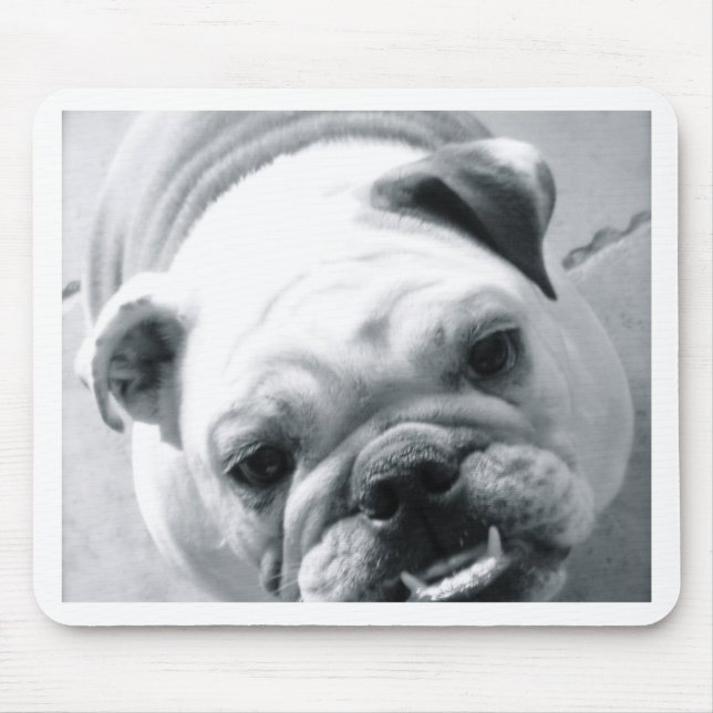 English Bulldog Mouse Mat (Front)