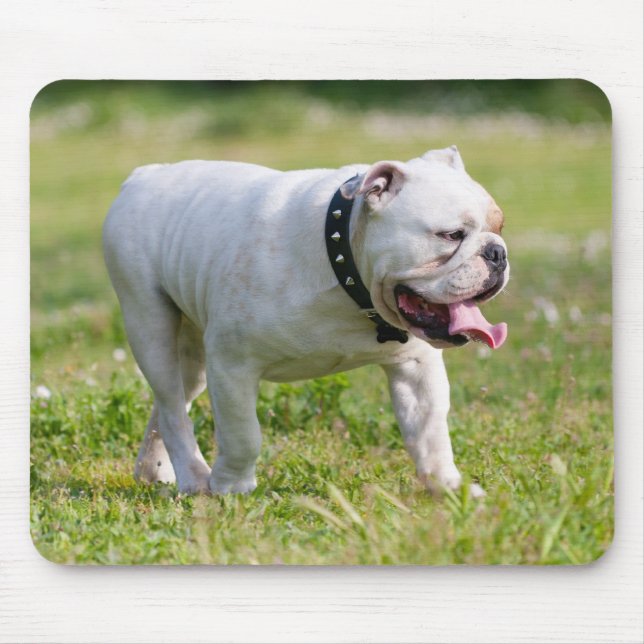 English Bulldog Mouse Mat (Front)