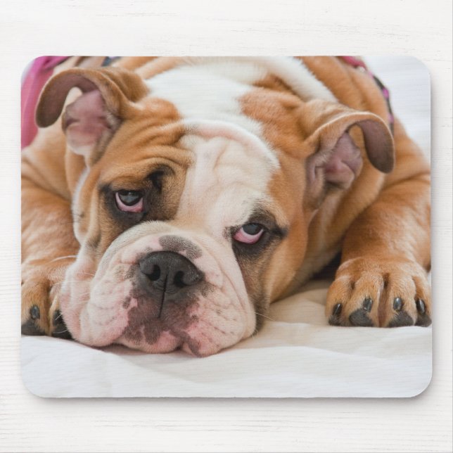 English Bulldog Mouse Mat (Front)