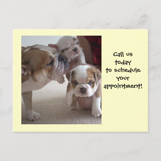English Bulldog Mum &Pups postcards shot reminder (Front)