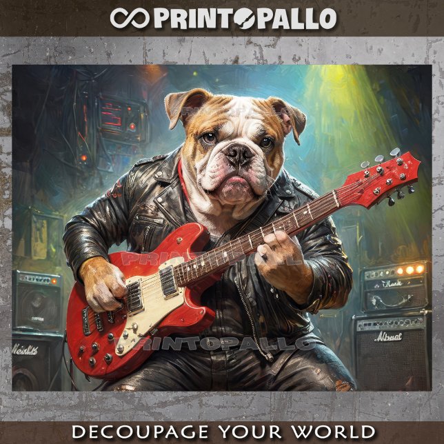 English Bulldog musician playing guitar -  Tissue Paper (Creator Uploaded)