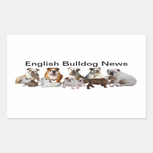 English Bulldog News Rectangular Sticker