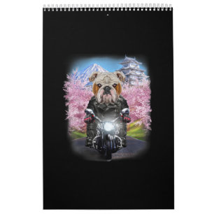 English Bulldog On Motorcycle Tour Japanese Sakura Calendar