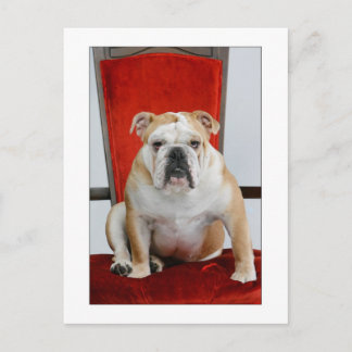 English bulldog on throne postcard
