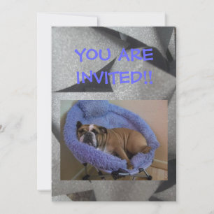 English Bulldog Party Invitations