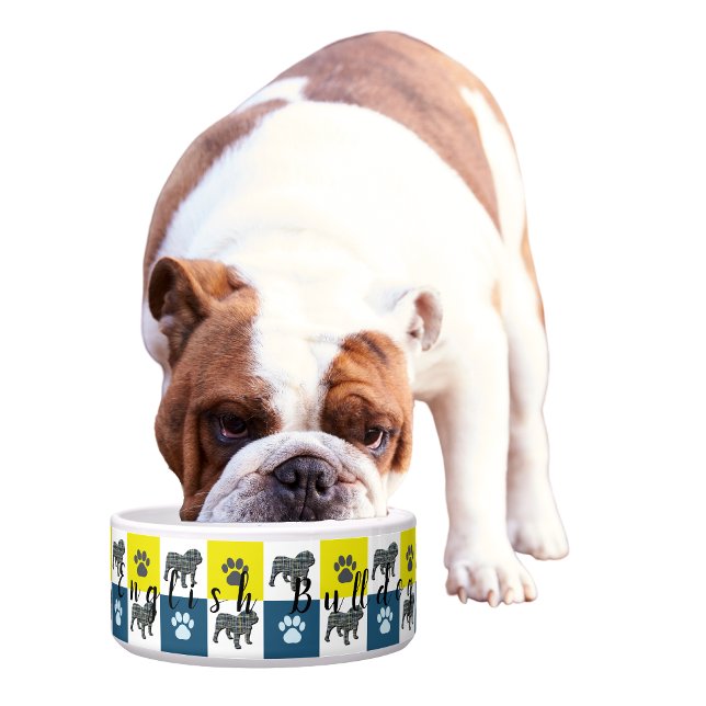 English Bulldog & Paw Yellow & Blue Grid2 (English Bulldog bowl)