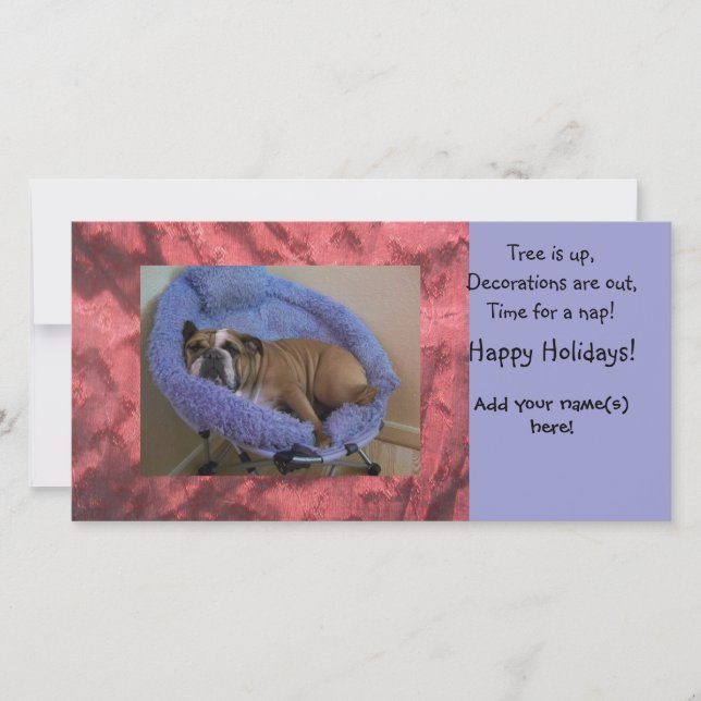 English Bulldog Photo Christmas Holiday Cards (Front)