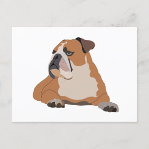 English Bulldog Portrait Postcard