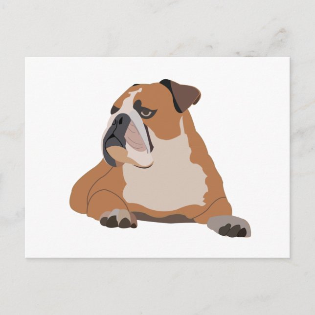 English Bulldog Portrait  Postcard (Front)