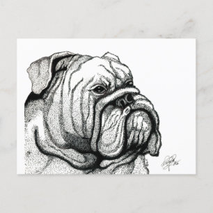 ENGLISH BULLDOG POSTCARD