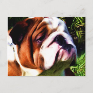 English Bulldog Postcard